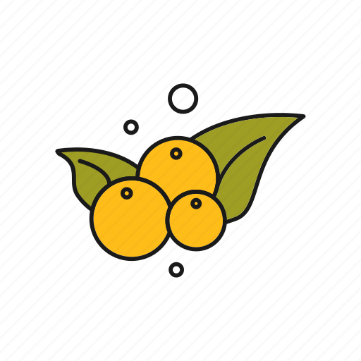 Cherry, food, fruit icon - Download on Iconfinder