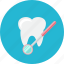 tooth, dental, dentist, stomatology, medical, mirror 