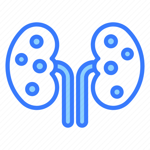 Kidneys, organ, anatomy, body, kidney, renal, urology icon - Download on Iconfinder