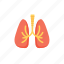 medical speciality, pneumology, pulmonology, respiratory tract, respirology 