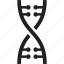 dna, genetics, genome 