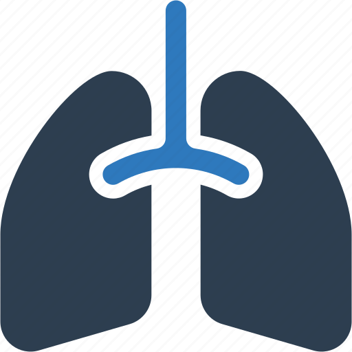 Lung, lungs, organ, pulmonology icon - Download on Iconfinder