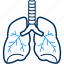 kidney, human, organ 