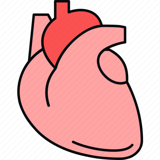 Attack, heart, anatomy, organ, heart attack icon - Download on Iconfinder