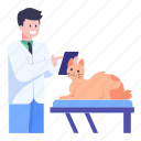 cat checkup, vet doctor, veterinary doctor, animal doctor, cat 