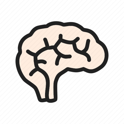 Brain, human, medical, mind, neuro, neurology, neurons icon - Download on Iconfinder