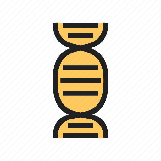 Chemistry, dna, helix, molecule, spiral, strand, structure icon - Download on Iconfinder