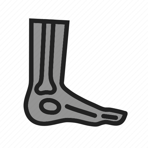 Ankle, bones, examination, foot, image, leg, x ray icon - Download on Iconfinder