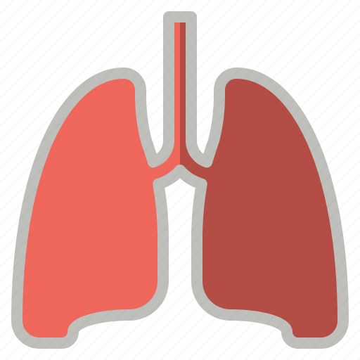Breathe, lungs, medical, organ, pulmonology icon - Download on Iconfinder