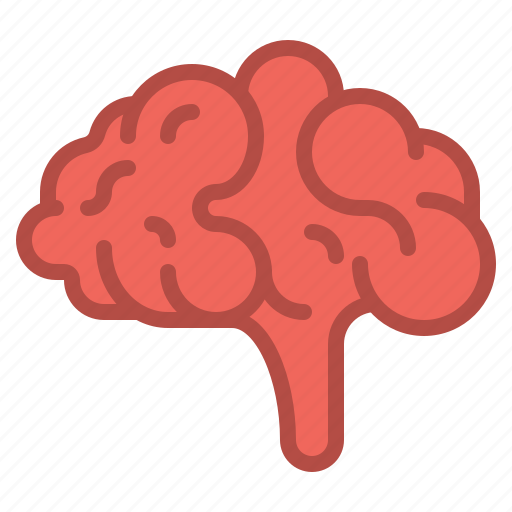 Brain, brainstorming, education, knowledge, learning, mind, science icon - Download on Iconfinder