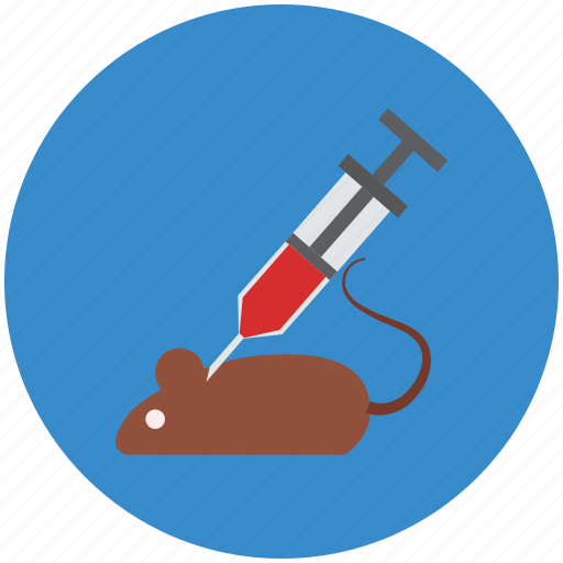 Animal test, clinical trials, experiment, research on mouse, trail icon - Download on Iconfinder