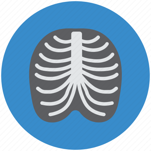 Human, medical, radiology, radioscopy, ribs icon - Download on Iconfinder