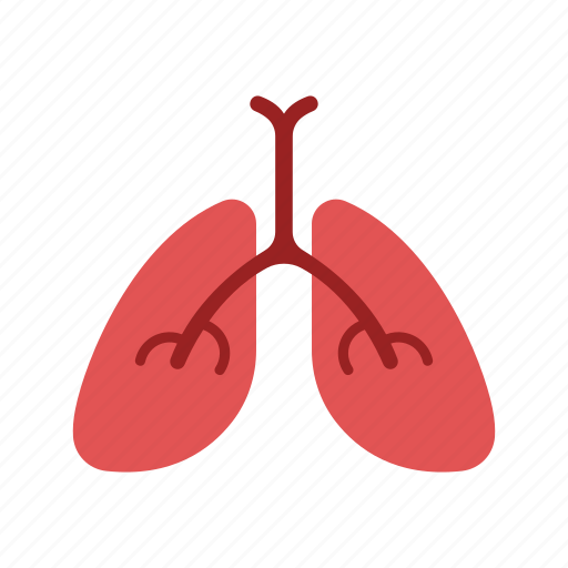 Anatomy, biology, breath, lung, organ icon - Download on Iconfinder