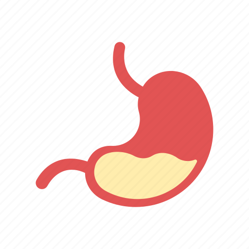 Anatomy, hungry, medical and health care, stomach, vital organ icon - Download on Iconfinder