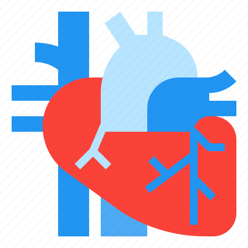 Healthcare, heart, medical, organ icon - Download on Iconfinder