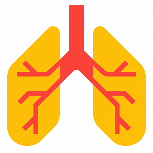 Healthcare, lung, medical, organ icon - Download on Iconfinder