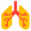 healthcare, lung, medical, organ 