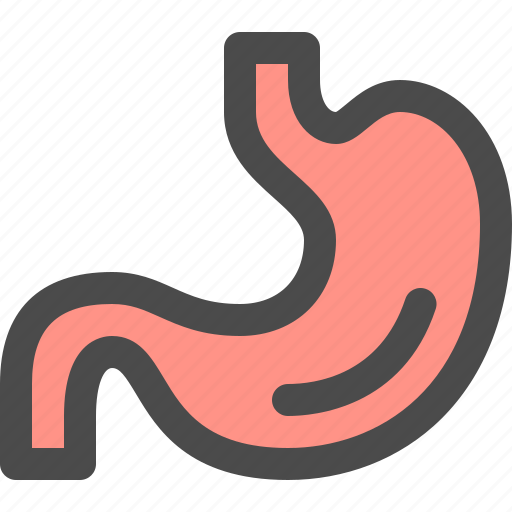 Health, human, medical, organ, stomach icon - Download on Iconfinder