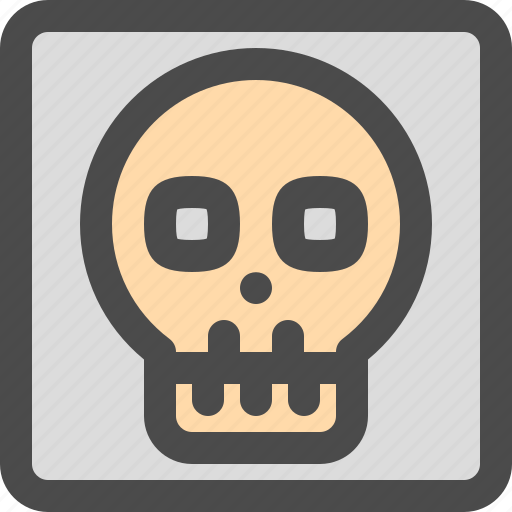 Radiology, scan, skull, xray icon - Download on Iconfinder