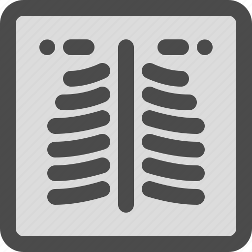 Bone, radiology, scan, xray icon - Download on Iconfinder