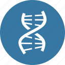 dna, genetics, genome 