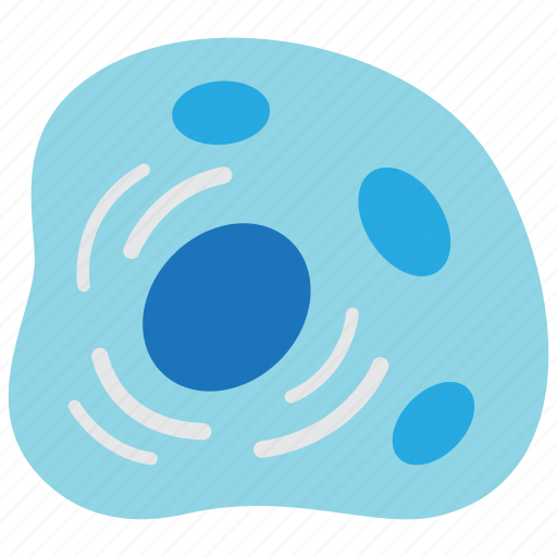 Cell, cytoplasm, human cell icon - Download on Iconfinder