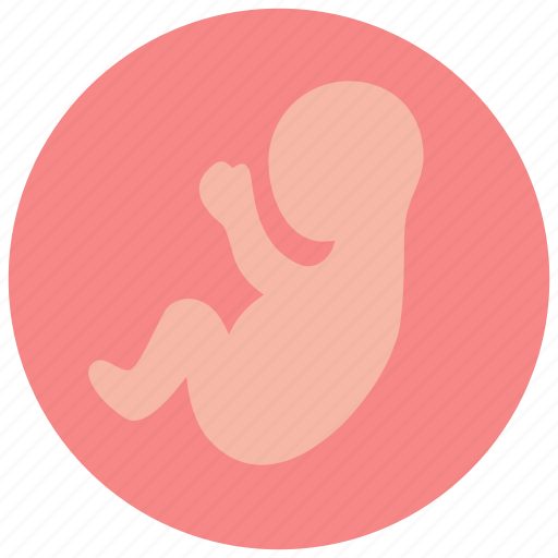 Obstetrics, embryo, ultrasound icon - Download on Iconfinder