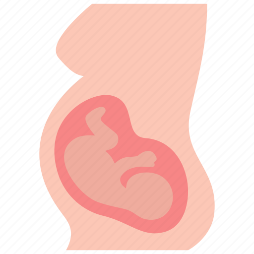 Obstetrics, embryo, maternity, pregnancy icon - Download on Iconfinder