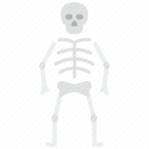 Osteology, bones, skeleton icon - Download on Iconfinder