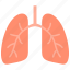 pulmonology, breathe, lung, lungs 