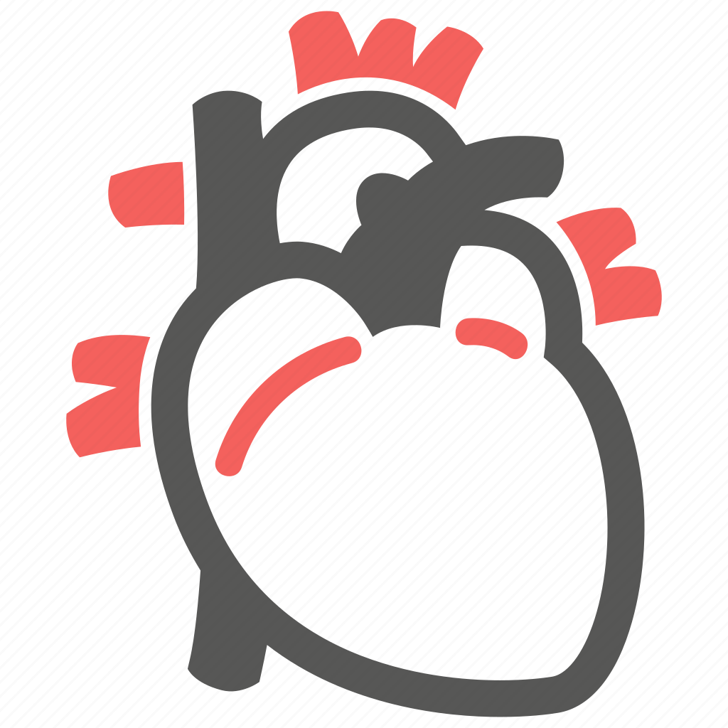 Cardiology Cardiogram Cardiovascular Heart Icon Download On Iconfinder