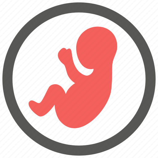 Baby, embryo, fetus icon - Download on Iconfinder