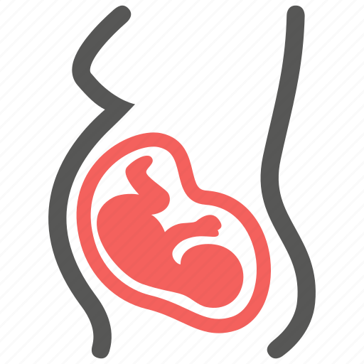 Obstetrics, embryo, pregnant, fetus icon - Download on Iconfinder