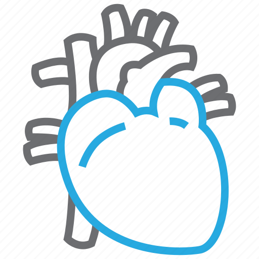 Cardiology, cardiovascular, heart, organ icon - Download on Iconfinder