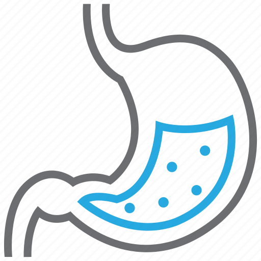 Gastroenterology, digestion, organ, stomach icon - Download on Iconfinder