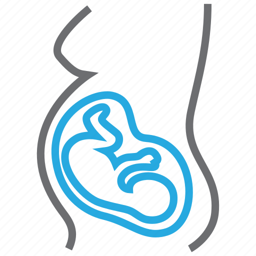 Obstetrics, embryo, maternity, pregnancy, prenatal icon - Download on Iconfinder