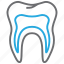 oral, teeth, tooth 