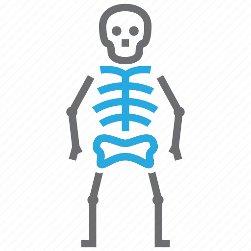 Osteology, bone, skeleton, skull icon - Download on Iconfinder