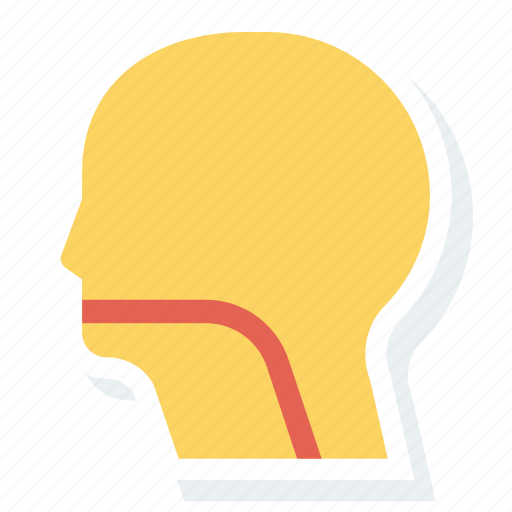 Brain, face, head, human, patient, profile icon - Download on Iconfinder