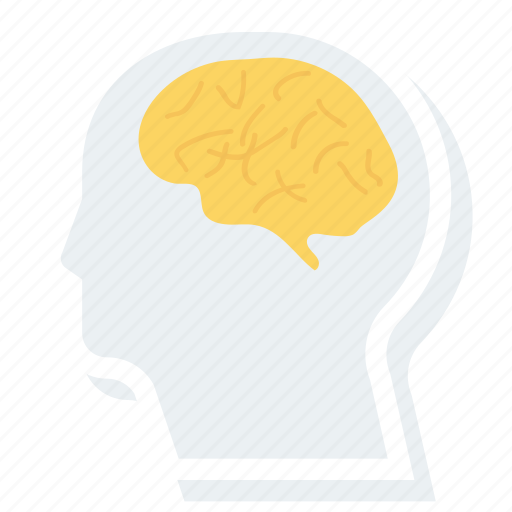 Brain, head, human, neurology icon - Download on Iconfinder