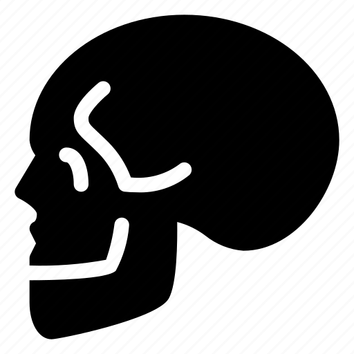 Anatomy, bone, healhcare, human, medical, skull icon - Download on Iconfinder