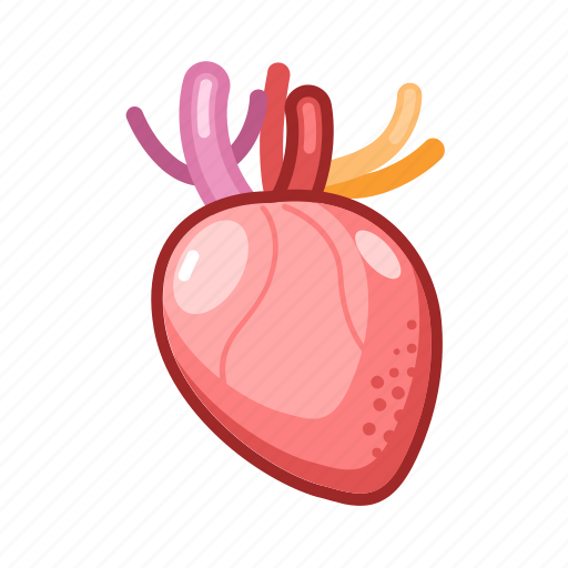 Medical, heart icon - Download on Iconfinder on Iconfinder
