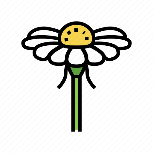 Chamomile, flower, bud, medical, herb, natural icon - Download on Iconfinder