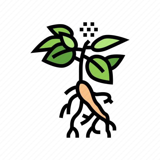 Ginseng, plant, medical, herb, natural, ingredient icon - Download on Iconfinder