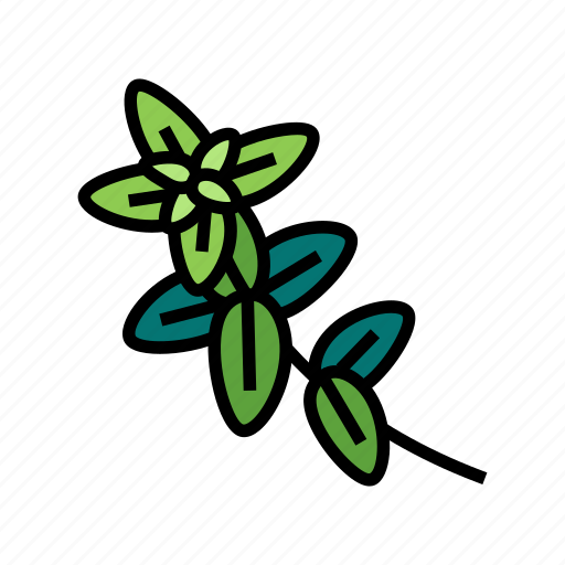 Oregano, plant, branch, medical, herb, natural icon - Download on Iconfinder