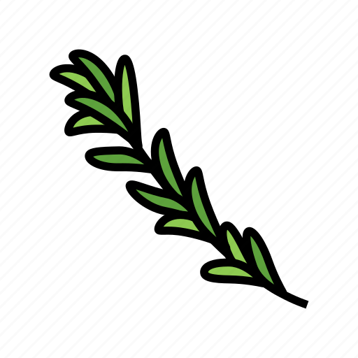 Rosemary, branch, medical, herb, natural, ingredient icon - Download on Iconfinder