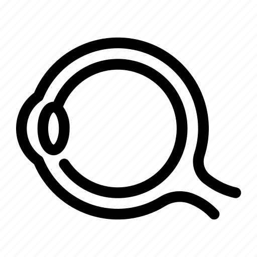 Eye, side, doctor, healthcare, medical, ophthamology, vision icon - Download on Iconfinder