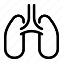 lungs, anatomy, female, human, organ, people, person