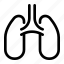 lungs, anatomy, female, human, organ, people, person 