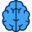 brain, knowledge, medical, mind